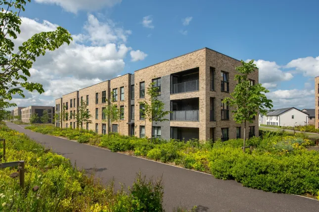 David Wilson Homes - Cammo Meadows Apartments