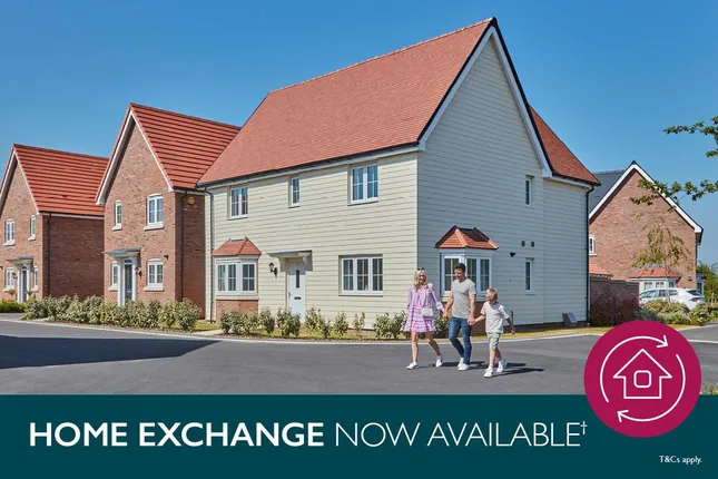 Countryside - The Paddocks