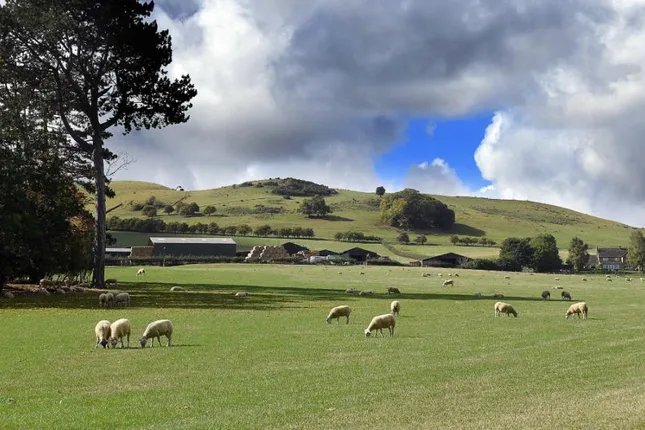 Bromford - Merret Place