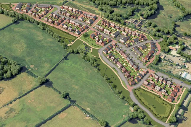 David Wilson Homes - Mallard Meadows at Winslow