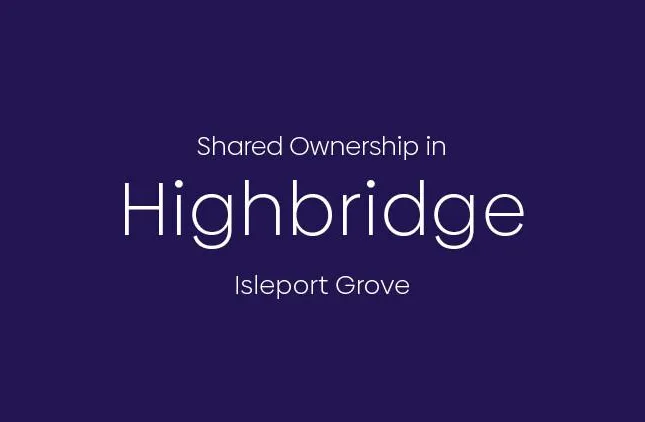 Aster - Isleport Grove