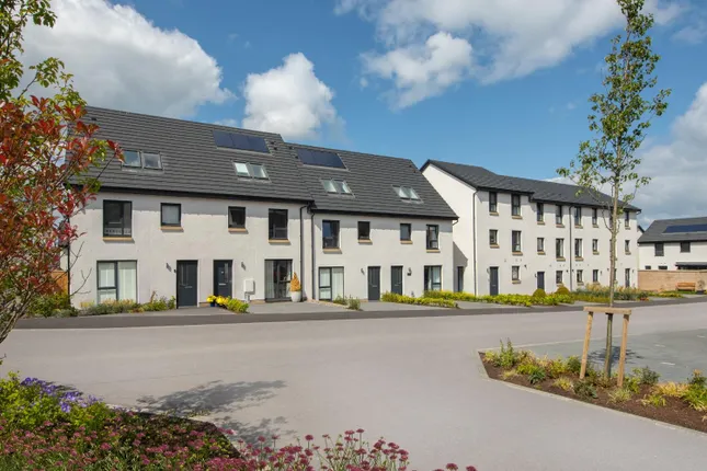 David Wilson Homes - Cammo Meadows