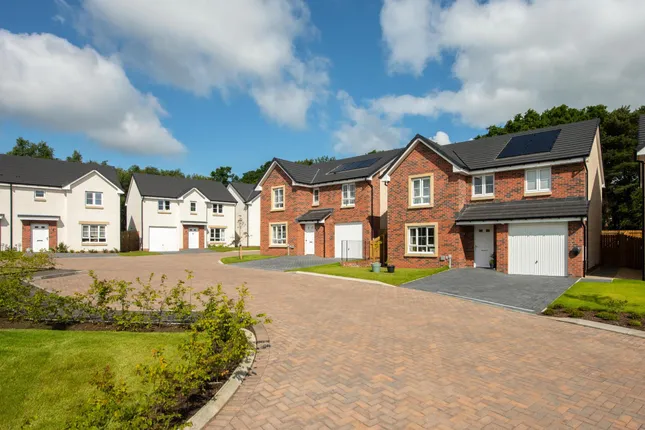 Barratt - Woodland Gait