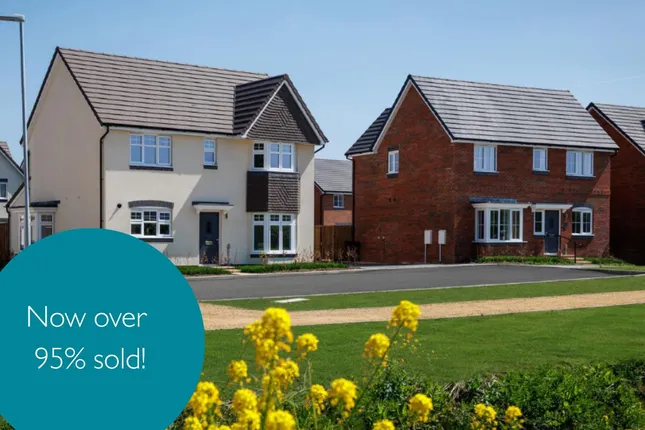 Countryside - Isleport Grove