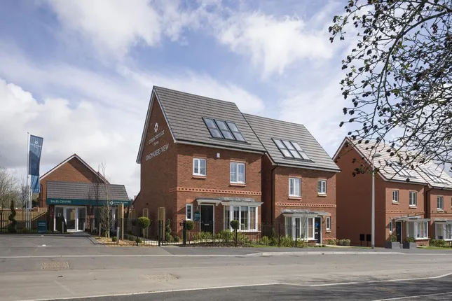 Countryside - Kingmakers View