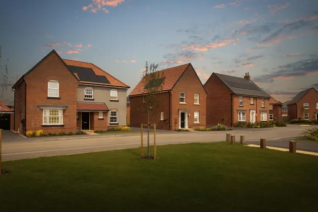 David Wilson Homes - Ashlawn Gardens