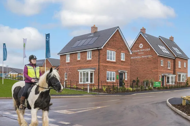 Countryside - Brookmill Meadows