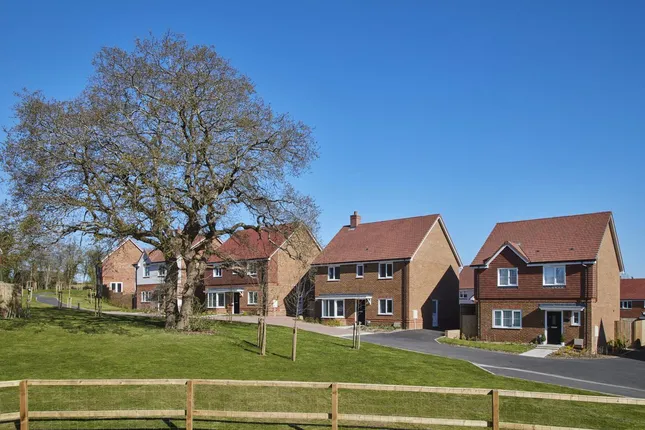Linden Homes - Ashdown Gardens