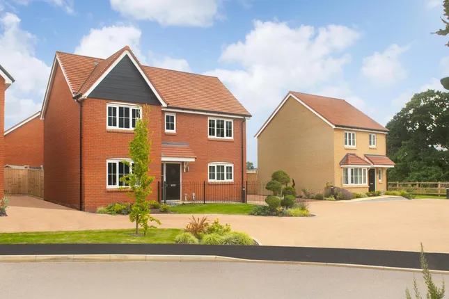 Bellway - Hollytree Walk