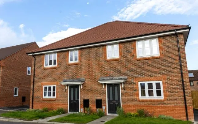 Aster - Willow Fields, Alford