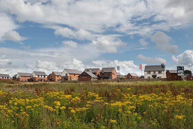 Bellway - Rose Meadow