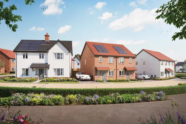 Bellway - Westerfield Grove