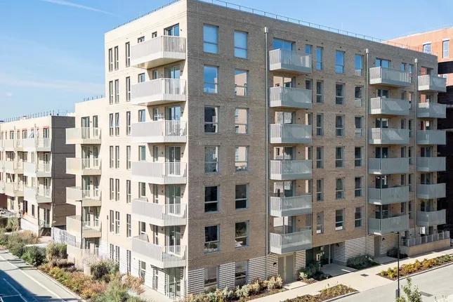 Countryside - Feature17