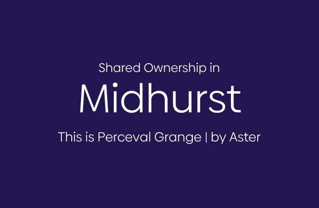 Aster - Perceval Grange