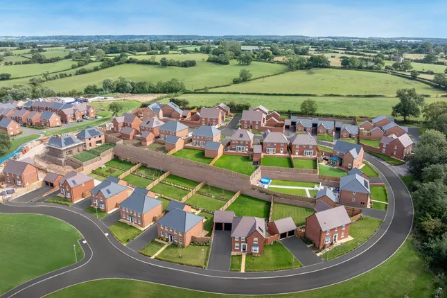 David Wilson Homes - Olive Park