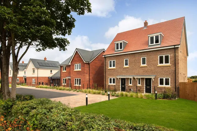 Bellway - Quarrington Edge at Handley Chase