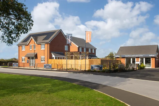 Bellway - Blackthorn Walk