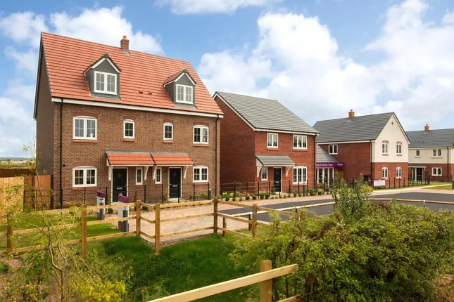 Ashberry Homes - Daedalus Park at Handley Chase