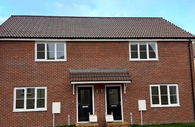 Aster - High Moor View, Winkleigh