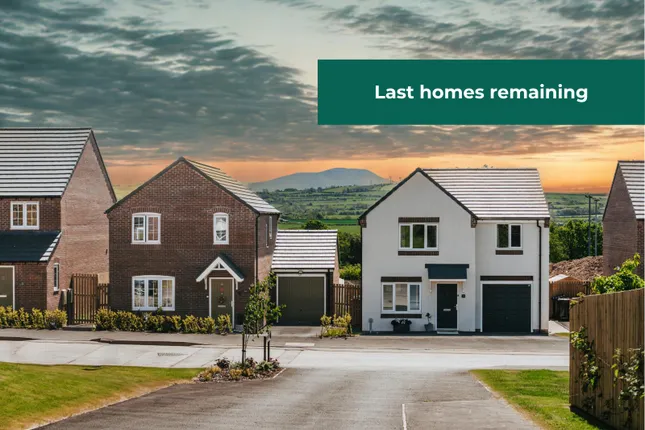 Gleeson - St Patricks Vale