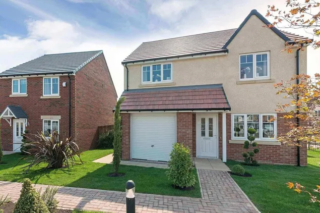 Linden Homes - Bishops Park