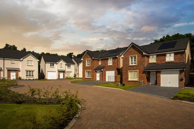 Barratt - Woodland Gait