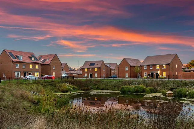 David Wilson Homes - Mulberry Rise at Applegate Park