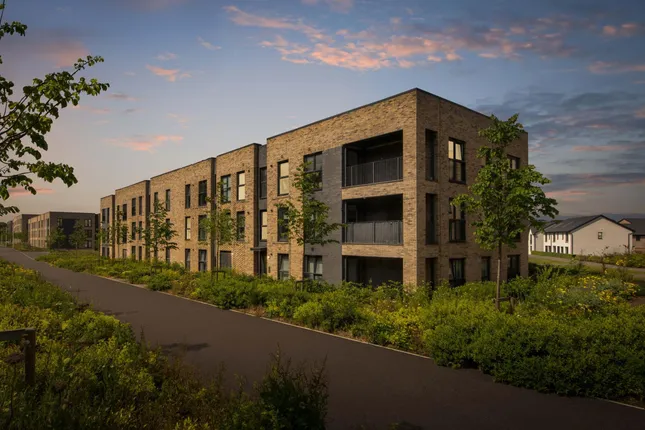 David Wilson Homes - Cammo Meadows Apartments