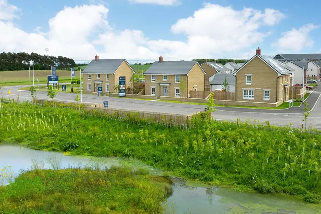 David Wilson Homes - Findrassie