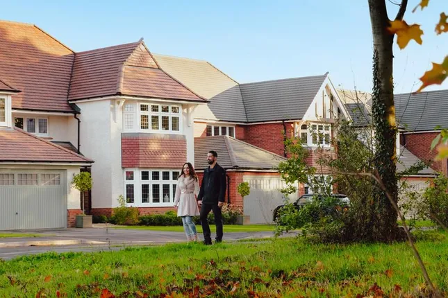 Redrow - Paddock Green