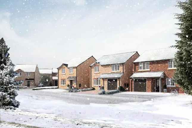 Linden Homes - Bishops Park