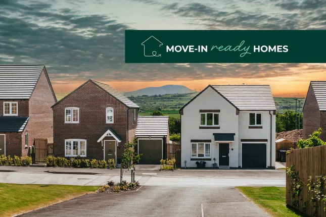 Gleeson - St Patricks Vale