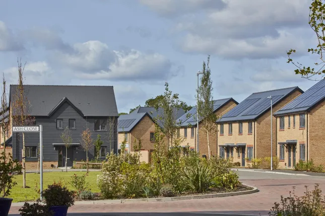 Bellway - Maple Creek