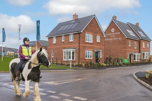 Countryside - Brookmill Meadows