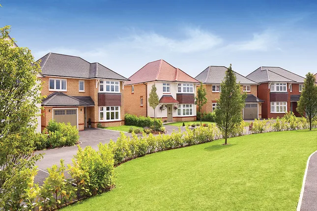 Redrow Midlands - Midsummer Meadow