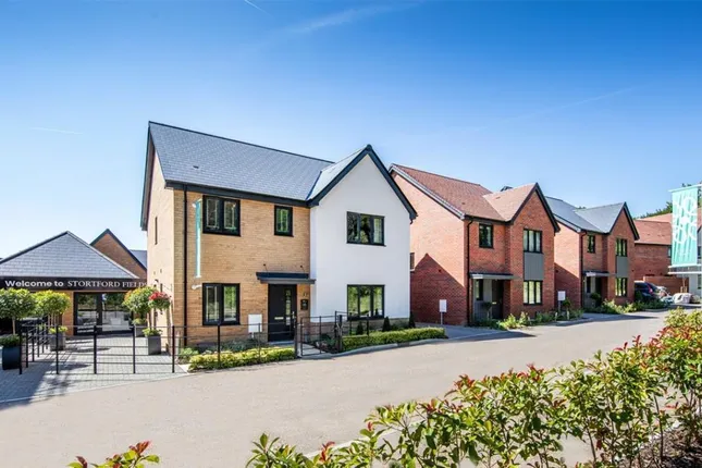 Tilia Homes - Stortford Fields
