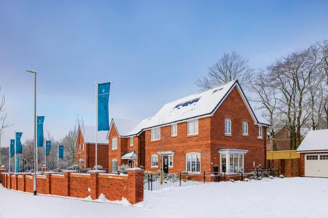 Countryside - The Fairways