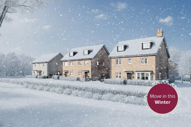 Linden Homes - Haddon Green