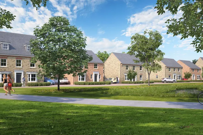 David Wilson Homes - The Paddocks