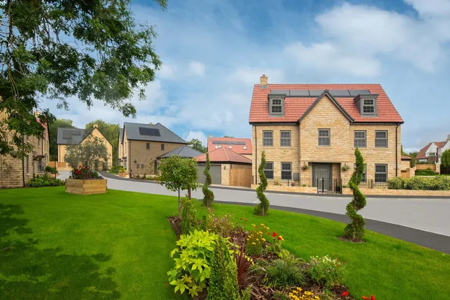 David Wilson Homes - Imperial Court