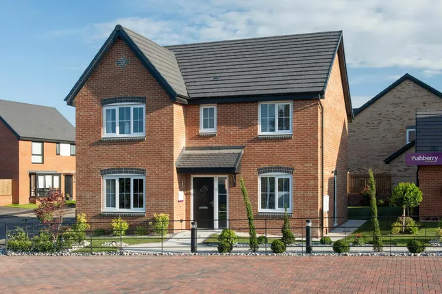 Ashberry - Stargate Meadows