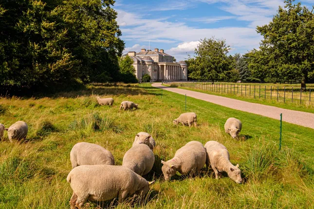 Barratt Homes - Bertelin Fields