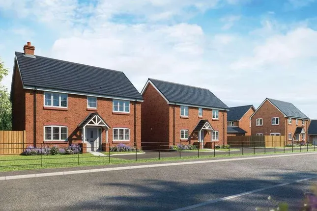 Wain Homes - Buttercup View