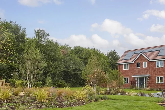 Ashberry Homes - Forster Park