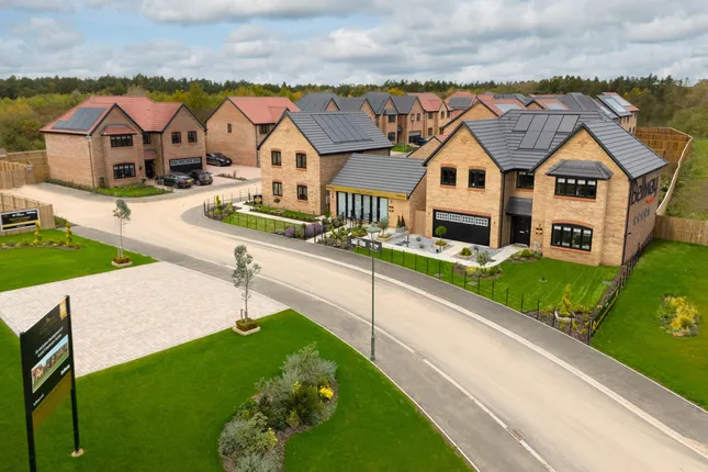 Bellway - Regency Manor