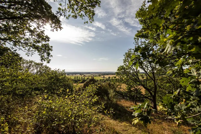 Tilia Homes - Nova Place