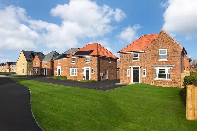 David Wilson Homes - West Meadows @ Arcot Estate