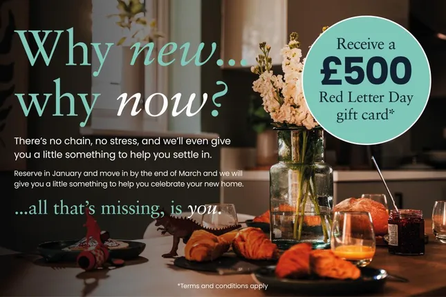 Tilia Homes - Manor Kingsway