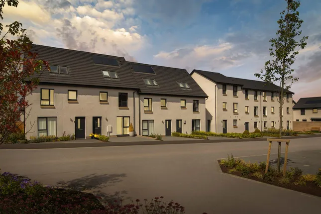 David Wilson Homes - Cammo Meadows