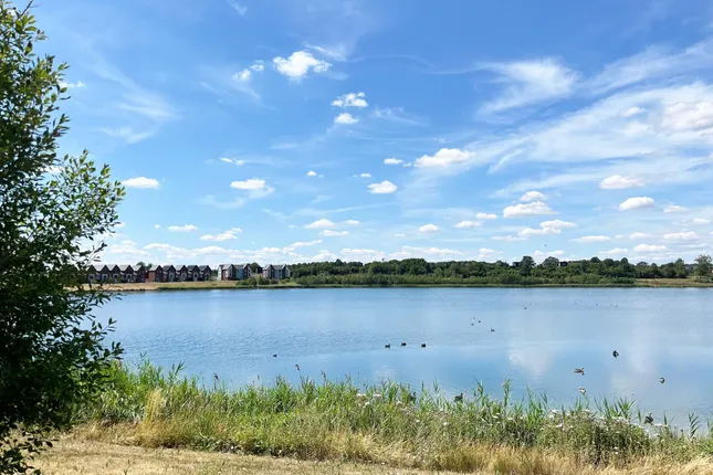 David Wilson Homes - Hampton Beach